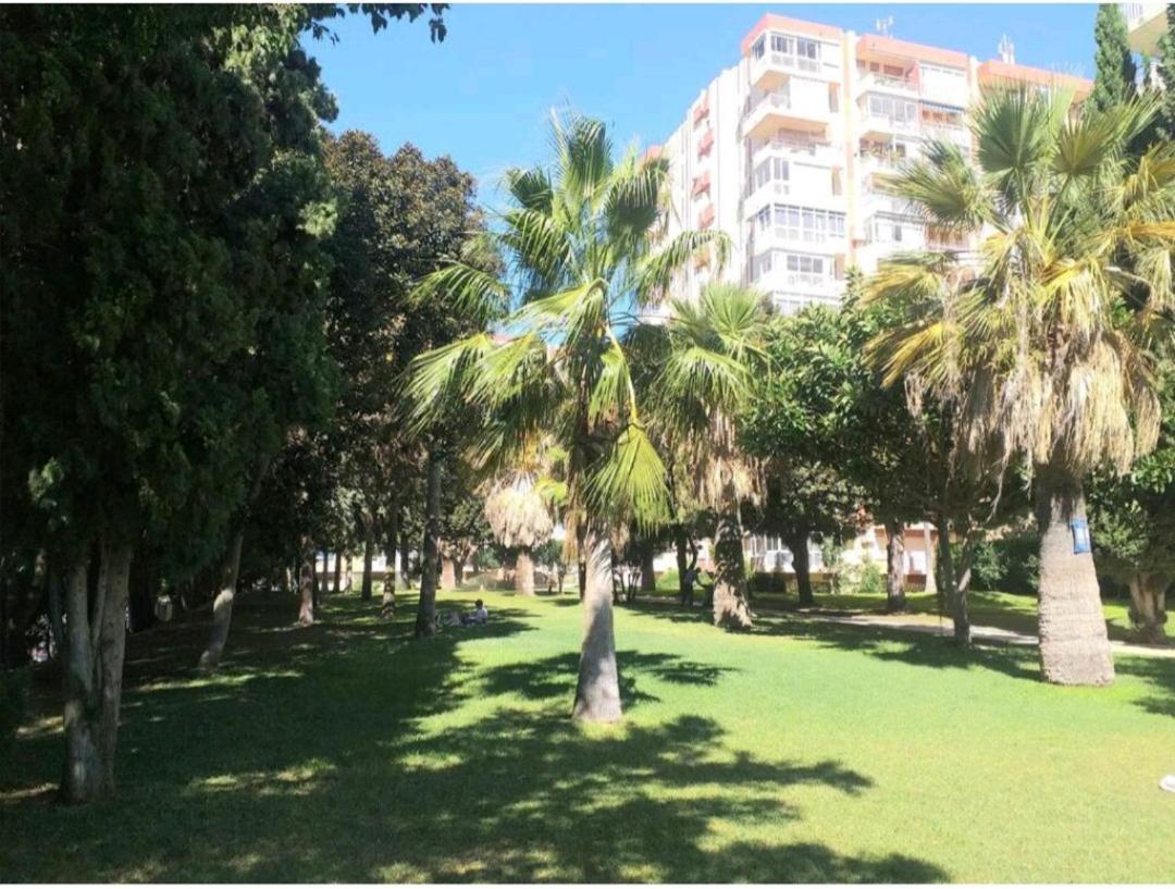 Apartment Estudio Delicia 2